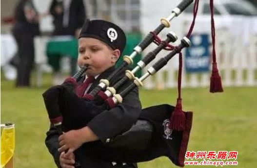 经常见到的乐器，你一定了解么？