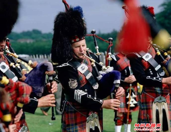 经常见到的乐器，你一定了解么？