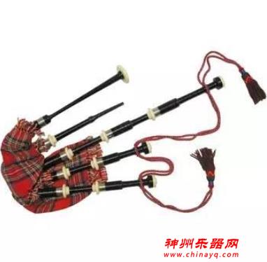 经常见到的乐器，你一定了解么？