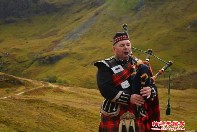 经常见到的乐器，你一定了解么？