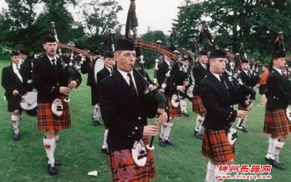 经常见到的乐器，你一定了解么？