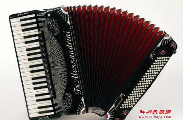 最受欢迎的乐器是什么？