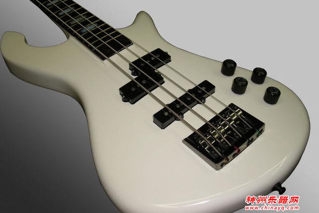 这些都是常见的拨弦类乐器