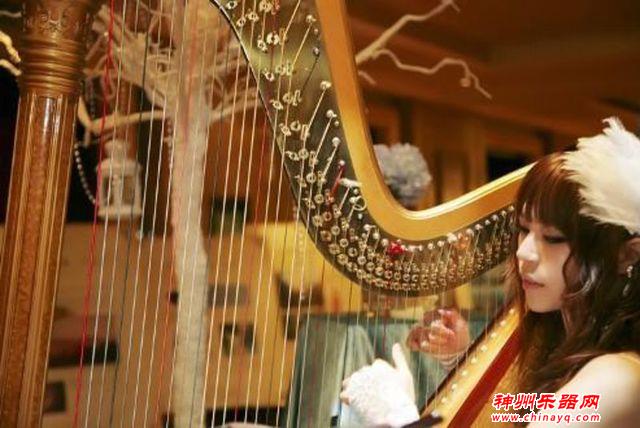 这些都是常见的拨弦类乐器