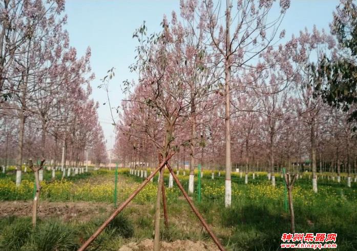 兰考固阳镇徐场村，中国民族乐器村