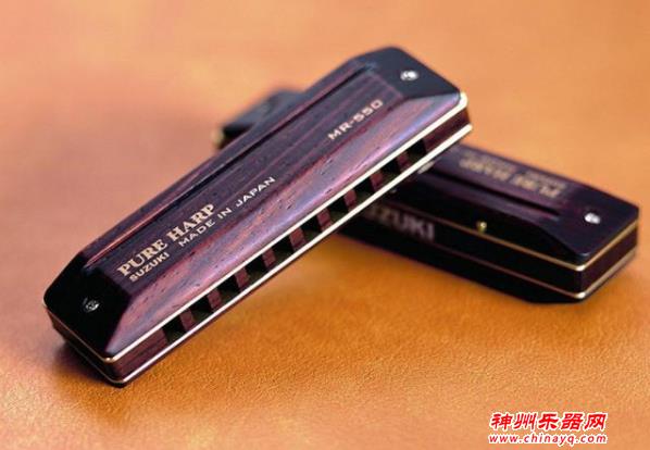 可以自学的美妙乐器