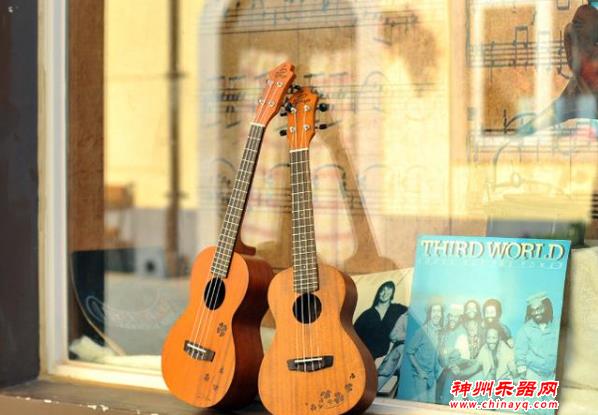 可以自学的美妙乐器