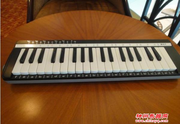 可以自学的美妙乐器