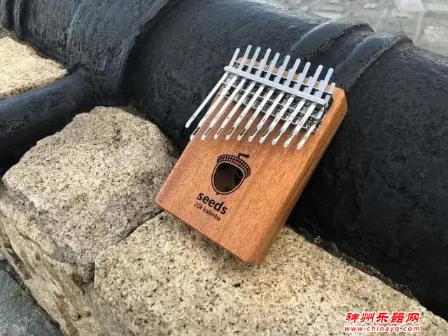 一天就能学会的乐器