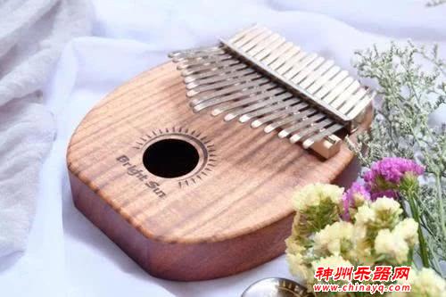 一天就能学会的乐器