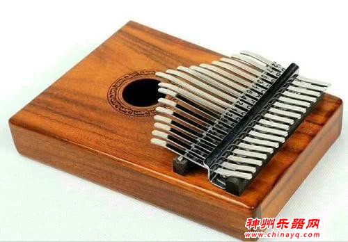 一天就能学会的乐器