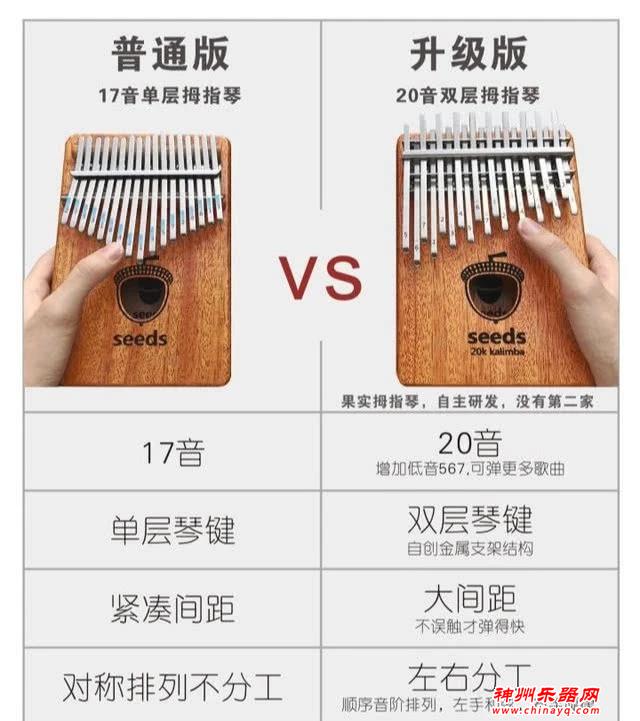 一天就能学会的乐器