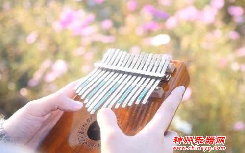 一天就能学会的乐器