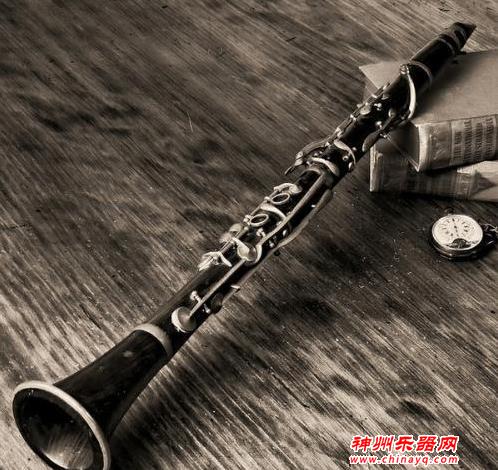 世界公认最难的十大乐器 第一竟然是他