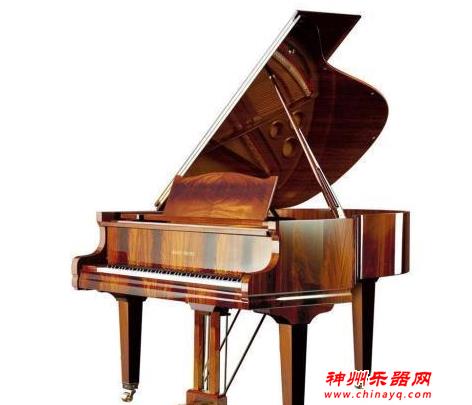 世界公认最难的十大乐器 第一竟然是他