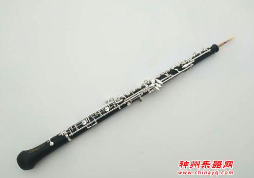 世界公认最难的十大乐器 第一竟然是他