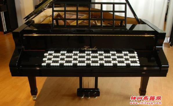 世界上最独特的四种乐器，你见过几种？