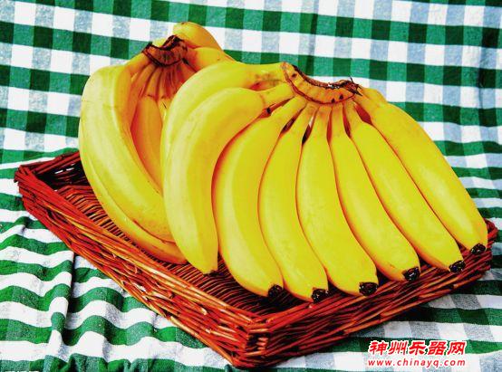 世界上最奇怪的九件乐器 你敢信特斯拉线圈也能当乐器？