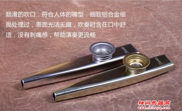 哪些乐器零基础也可以学得很快容易上手？