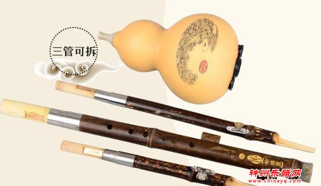 哪些乐器零基础也可以学得很快容易上手？