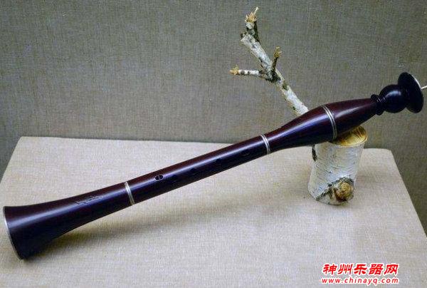 10大最冷门的小众乐器