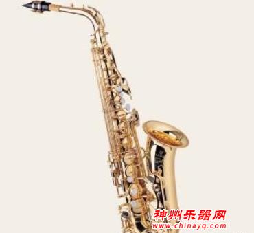 适合孩子学习的乐器