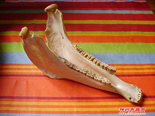 有趣又冷门的乐器