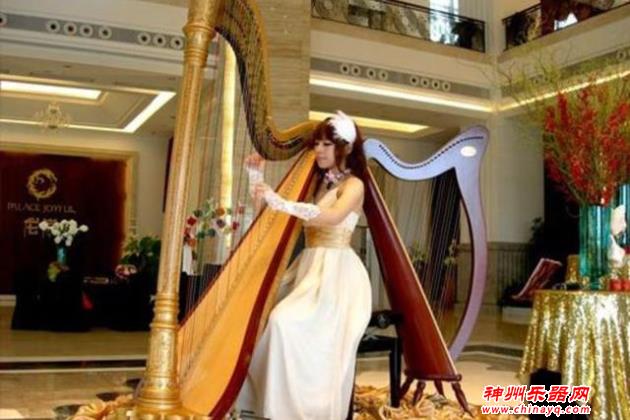 世界最难学的乐器