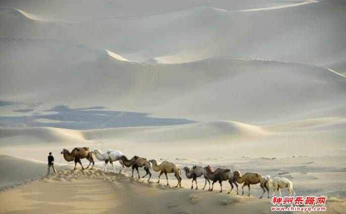 那些年从丝绸之路远道而来的波斯乐器