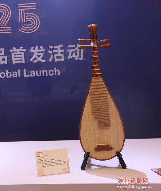 器乐共鸣，音创未来-2025年上海国际乐器展开幕