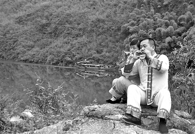 凭借一片随处可见的树叶 吹进国家大剧院