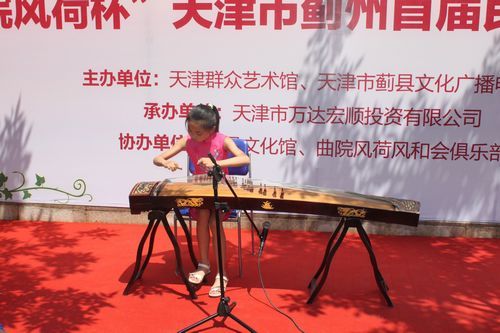古筝独奏