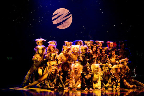 《猫》特辟“绿色通道” 高考生可购80元公益票