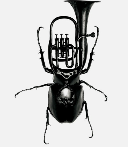 奇特别致的昆虫乐器 演奏出不一样的音乐