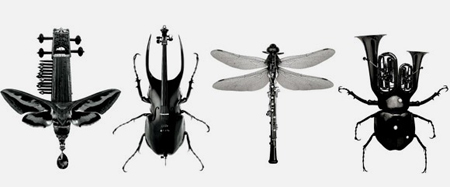 奇特别致的昆虫乐器 演奏出不一样的音乐