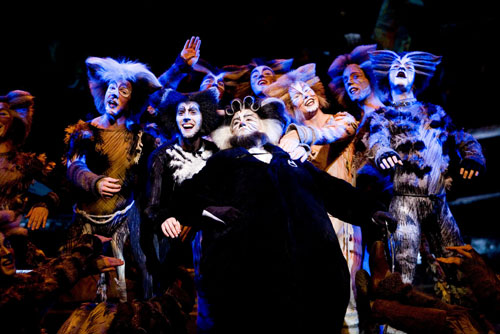 《猫》暑期档最卖座 未演先热票房千万拔头筹