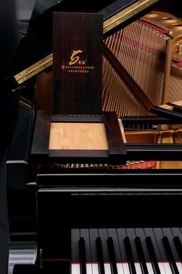 龙韵施坦威壬辰年特别纪念版钢琴690万高价成交