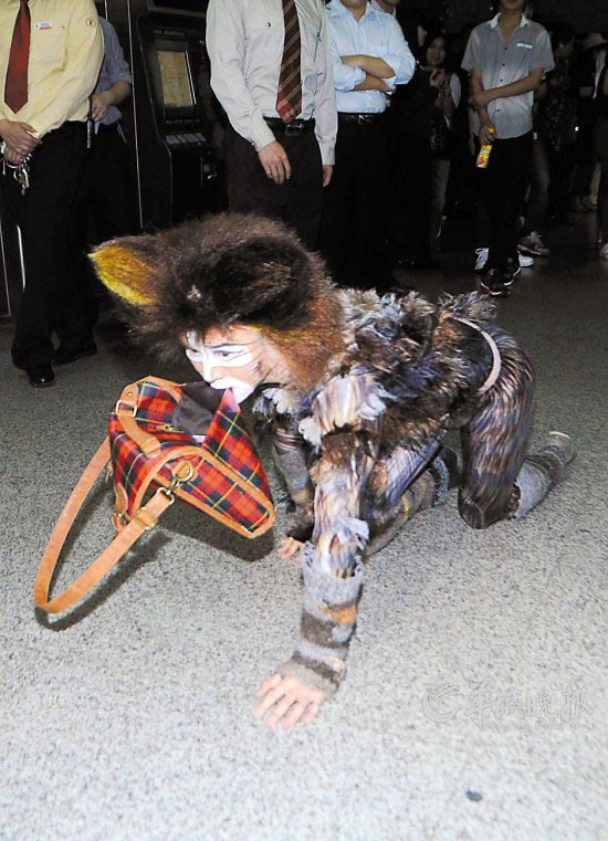 “喵星人”突袭地铁站 市民零距离感受猫的魅力