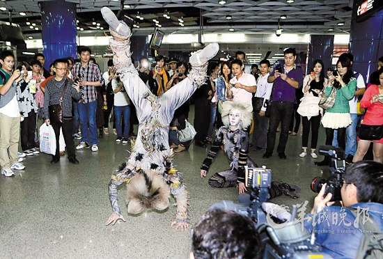 “喵星人”突袭地铁站 市民零距离感受猫的魅力