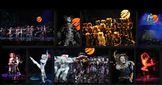 本土音乐剧《钢的琴》欲PK经典中文版《猫》