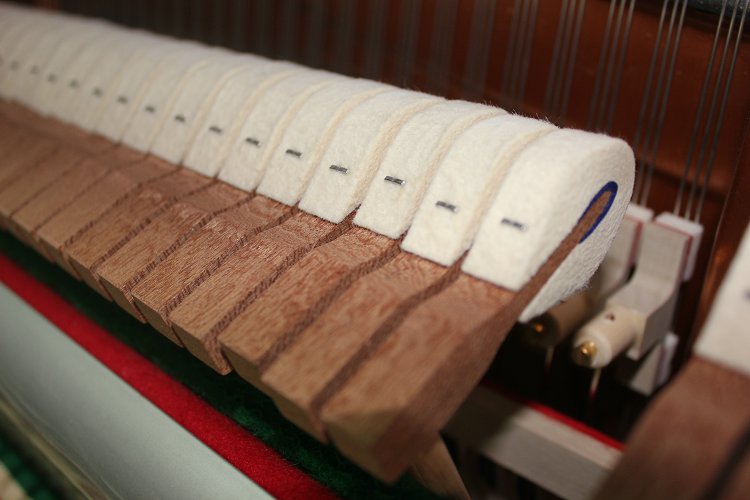 嘉德威致力成为“钢琴专家”