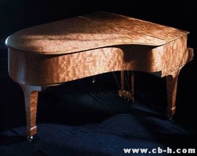 施坦威钢琴周年庆典系列活动拉开帷幕