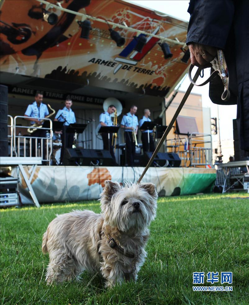 巴黎：音乐迎夏至