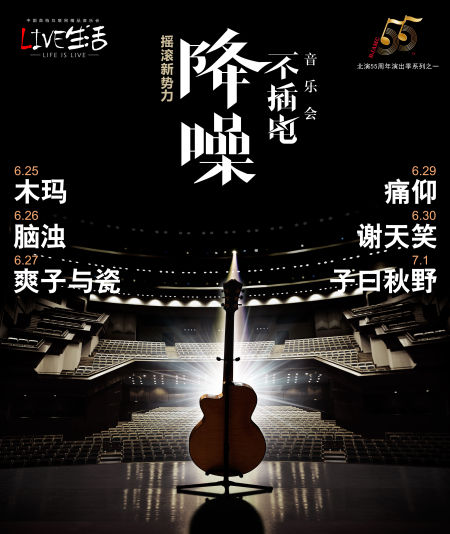 降噪音乐会海报