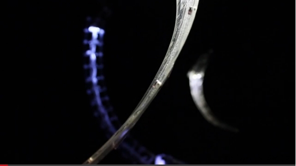 另类&ldquo;人体乐器&rdquo; 好恐怖！