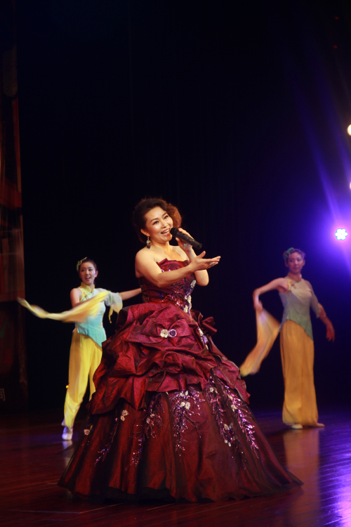 《中国梦，故乡情》 刘洲华个人独唱音乐会义演活动举行