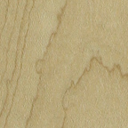 谈谈当代电吉他琴体使用的六大木材