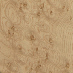 谈谈当代电吉他琴体使用的六大木材