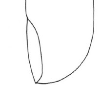 关于初学古典吉他右手是否留指甲的疑惑