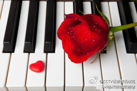 适合一个人享受的钢琴曲